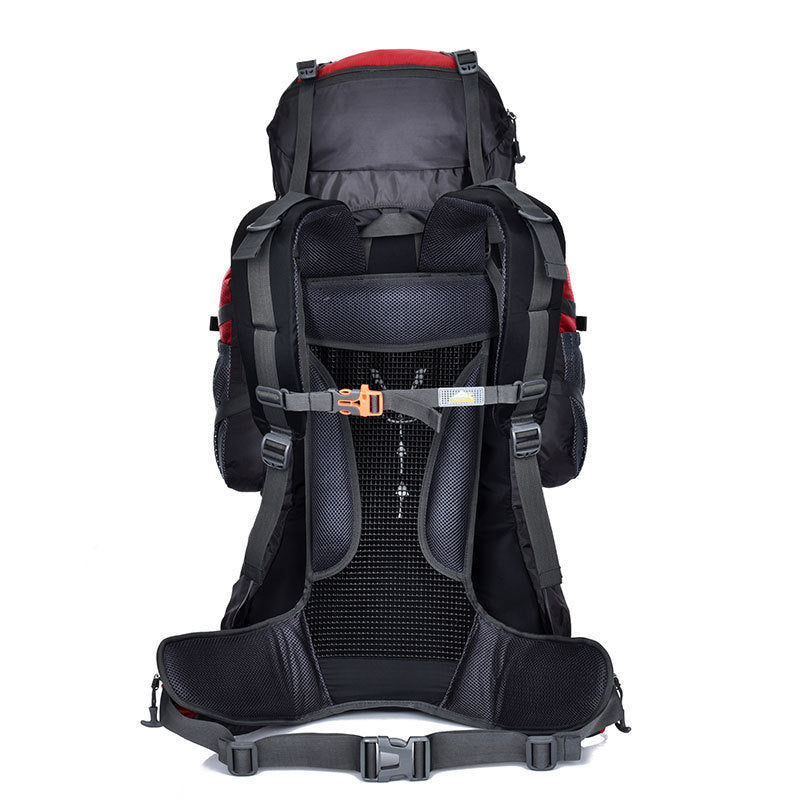 Professional mountaineering package / outdoor Backpack Travel hiking/ outdoors camping