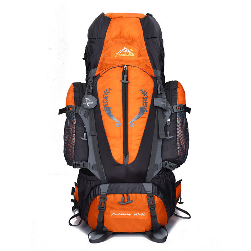 Professional mountaineering package / outdoor Backpack Travel hiking/ outdoors camping